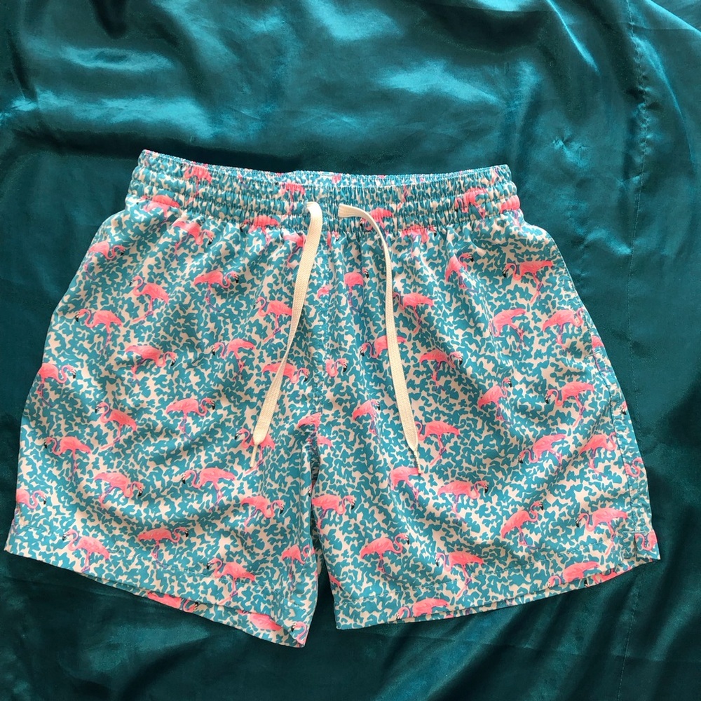 Chubbies Mens The Domingos Are For Flamingos 5.5" Swim Trunks Size Med Blue Pink